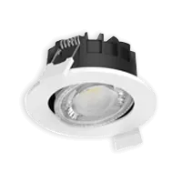 Philips Ledinaire spotlight